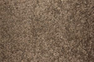How to Dry Carpet After Cleaning in Winter