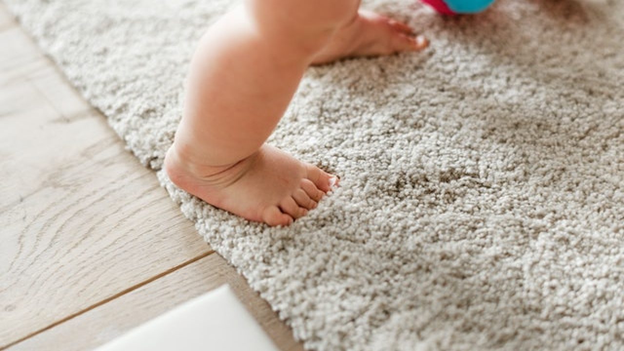 https://tmqcarpetcleaning.com/cleaning-blog/wp-content/uploads/2019/12/how-to-pick-new-carpet-padding-1280x720.jpg